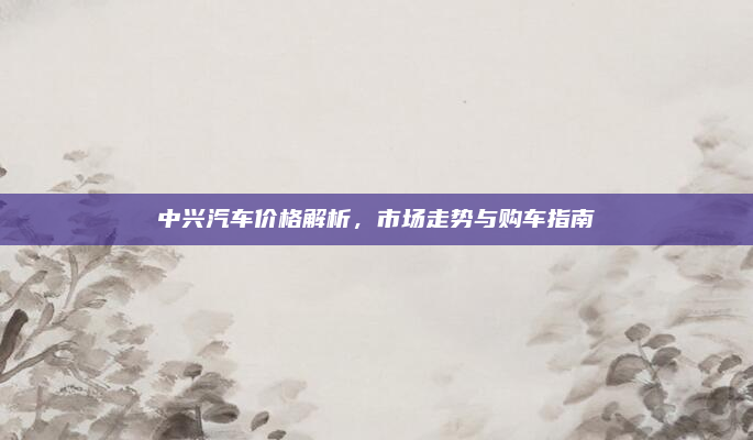 中兴汽车价格解析，市场走势与购车指南