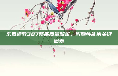 东风标致307整备质量解析，影响性能的关键因素
