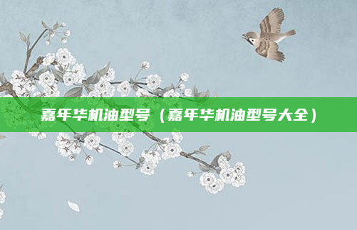嘉年华机油型号(嘉年华机油型号大全)