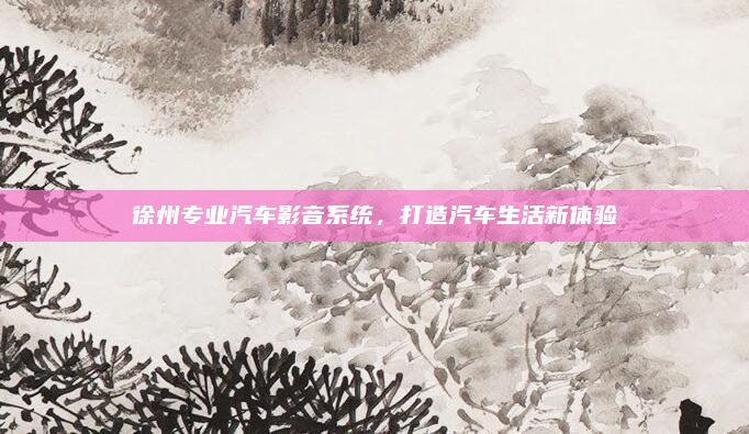 徐州专业汽车影音系统，打造汽车生活新体验
