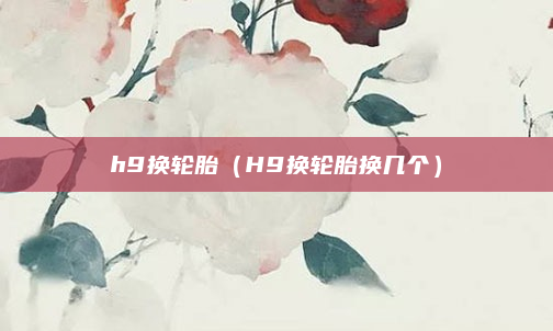 h9换轮胎（H9换轮胎换几个）