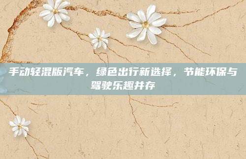 手动轻混版汽车，绿色出行新选择，节能环保与驾驶乐趣并存