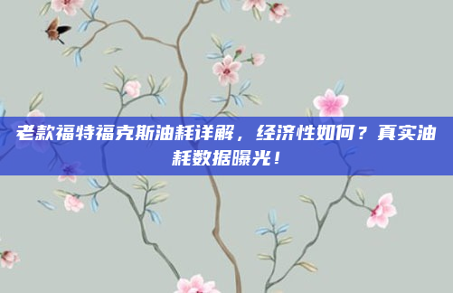 老款福特福克斯油耗详解,经济性如何?真实油耗数据曝光!