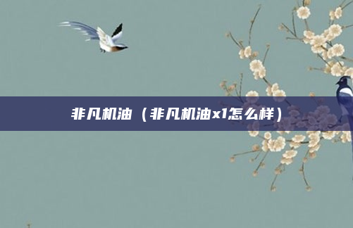 非凡机油（非凡机油x1怎么样）