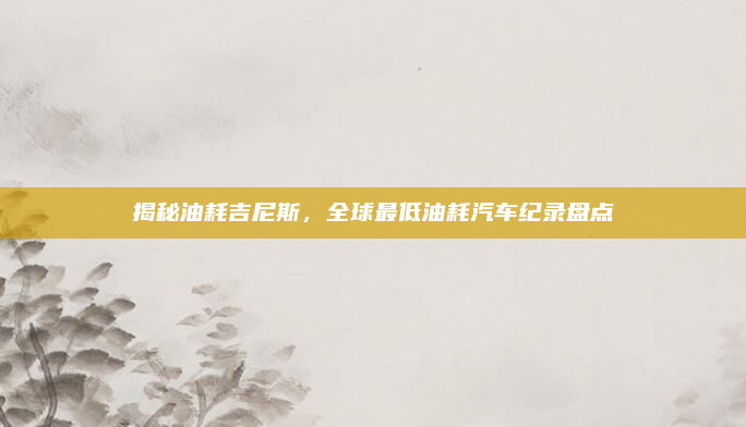 揭秘油耗吉尼斯,全球最低油耗汽车纪录盘点