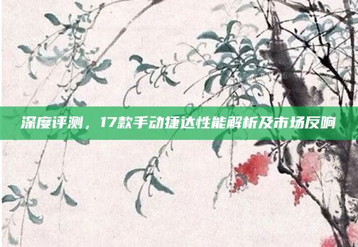 深度评测，17款手动捷达性能解析及市场反响