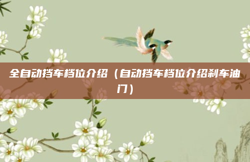 全自动挡车档位介绍（自动挡车档位介绍刹车油门）