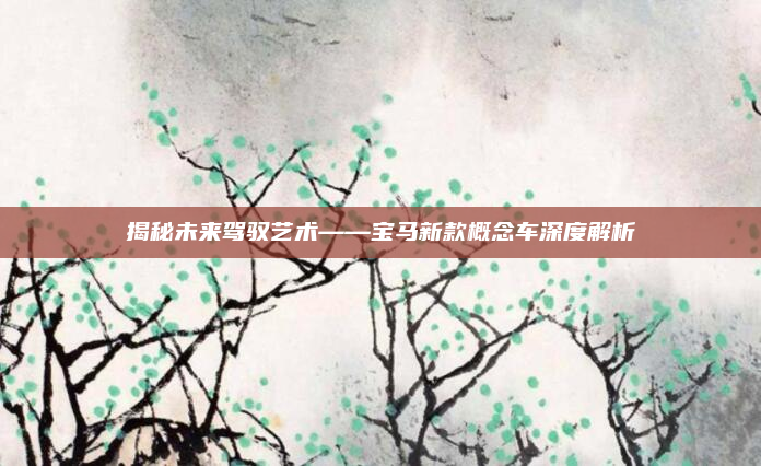 揭秘未来驾驭艺术——宝马新款概念车深度解析