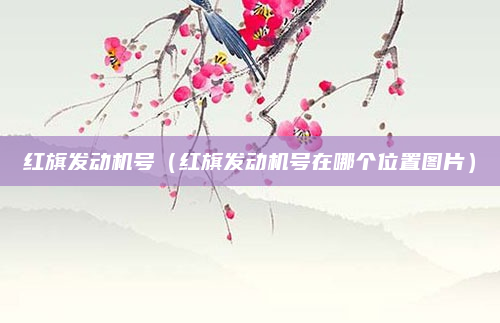 红旗发动机号（红旗发动机号在哪个位置图片）