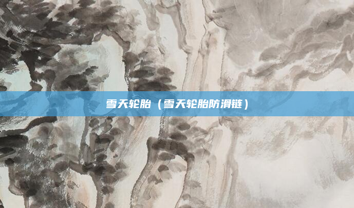 雪天轮胎（雪天轮胎防滑链）