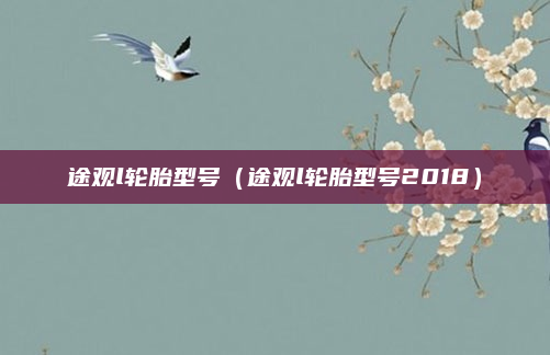 途观l轮胎型号（途观l轮胎型号2018）