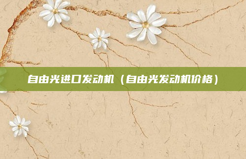自由光进口发动机（自由光发动机价格）