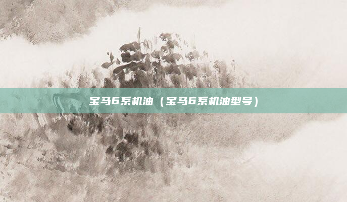 宝马6系机油（宝马6系机油型号）
