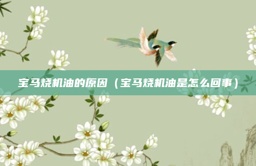 宝马烧机油的原因（宝马烧机油是怎么回事）