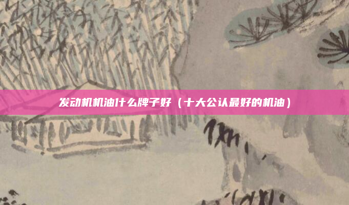 发动机机油什么牌子好(十大公认最好的机油)
