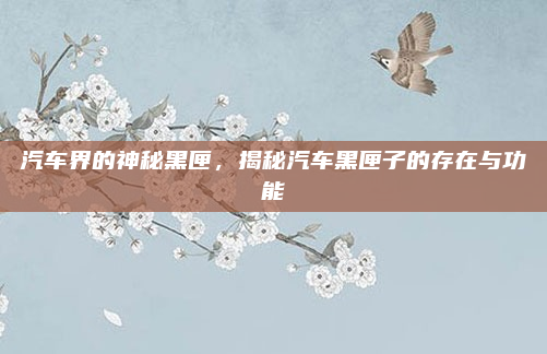 汽车界的神秘黑匣,揭秘汽车黑匣子的存在与功能