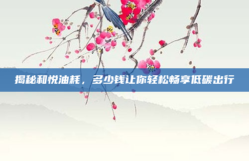 揭秘和悦油耗,多少钱让你轻松畅享低碳出行