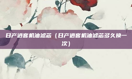 日产逍客机油滤芯(日产逍客机油滤芯多久换一次)