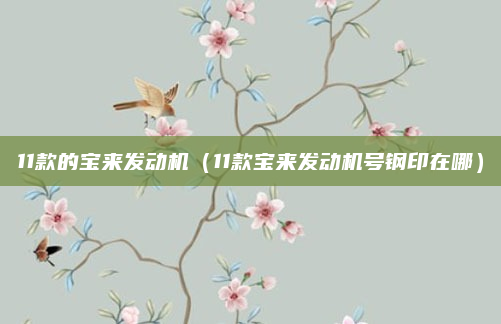 11款的宝来发动机（11款宝来发动机号钢印在哪）