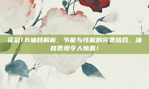 花冠1.6油耗解析,节能与性能的完美结合,油耗表现令人惊喜!