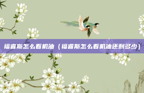 福睿斯怎么看机油(福睿斯怎么看机油还剩多少)