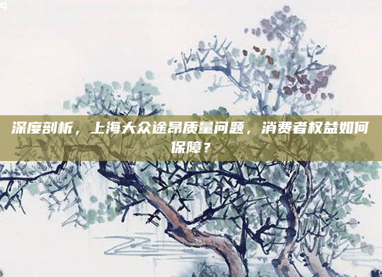 深度剖析，上海大众途昂质量问题，消费者权益如何保障？