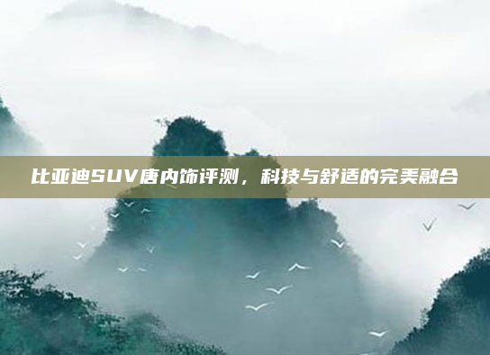 比亚迪SUV唐内饰评测,科技与舒适的完美融合