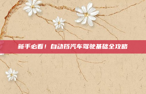 新手必看！自动挡汽车驾驶基础全攻略