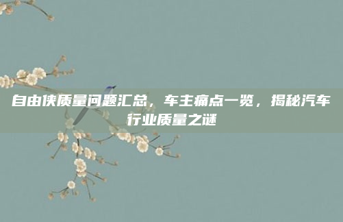 自由侠质量问题汇总，车主痛点一览，揭秘汽车行业质量之谜