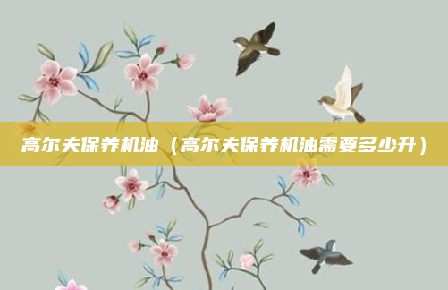 高尔夫保养机油(高尔夫保养机油需要多少升)