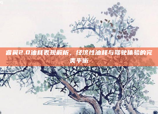 睿翼2.0油耗表现解析，经济性油耗与驾驶体验的完美平衡