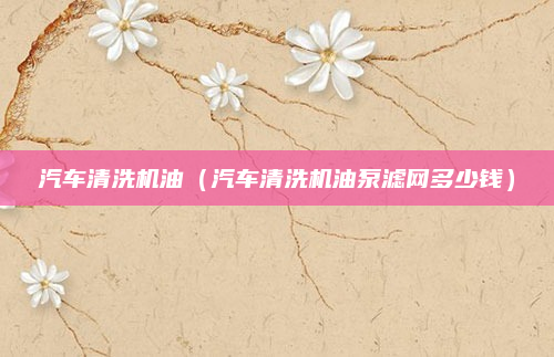 汽车清洗机油(汽车清洗机油泵滤网多少钱)