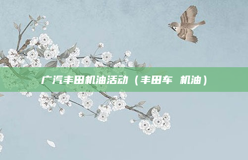 广汽丰田机油活动（丰田车 机油）