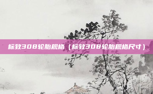 标致308轮胎规格(标致308轮胎规格尺寸)