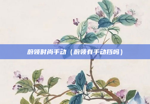 蔚领时尚手动（蔚领有手动挡吗）