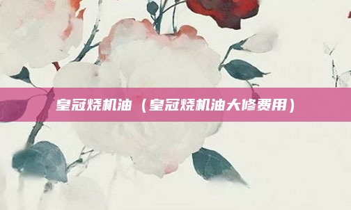 皇冠烧机油（皇冠烧机油大修费用）
