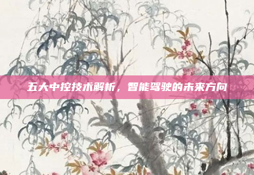 五大中控技术解析，智能驾驶的未来方向