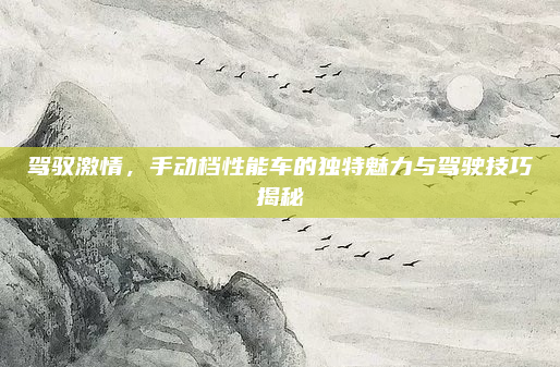 驾驭激情,手动档性能车的独特魅力与驾驶技巧揭秘