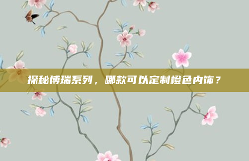 探秘博瑞系列，哪款可以定制橙色内饰？
