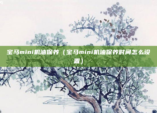 宝马mini机油保养(宝马mini机油保养时间怎么设置)