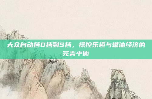 大众自动挡D挡到S挡，操控乐趣与燃油经济的完美平衡