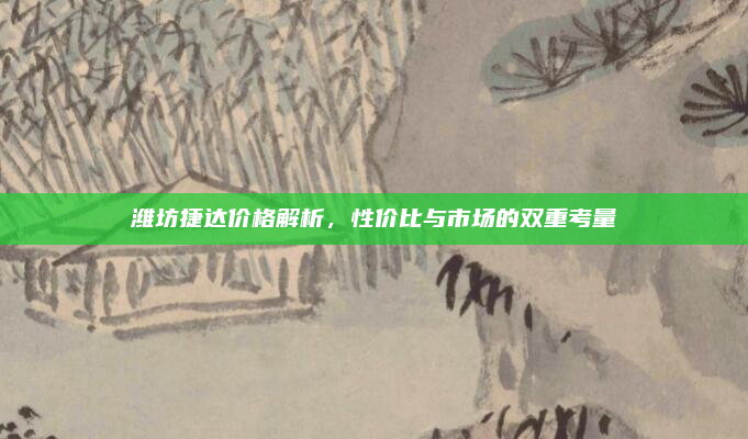 潍坊捷达价格解析，性价比与市场的双重考量