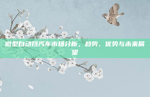 微型自动挡汽车市场分析，趋势、优势与未来展望