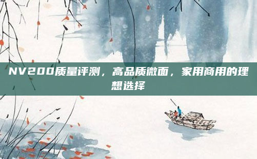 NV200质量评测，高品质微面，家用商用的理想选择