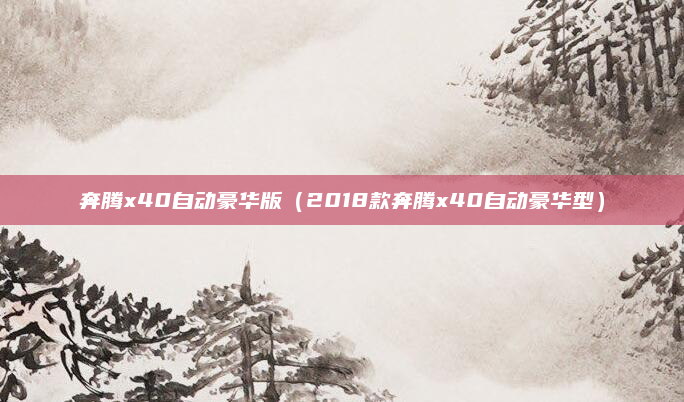 奔腾x40自动豪华版(2018款奔腾x40自动豪华型)