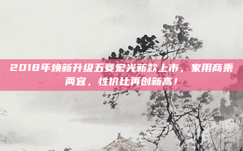 2018年焕新升级五菱宏光新款上市，家用商乘两宜，性价比再创新高！