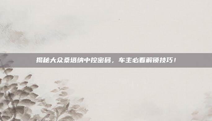 揭秘大众桑塔纳中控密码，车主必看解锁技巧！
