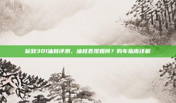 标致301油耗评测，油耗表现如何？购车指南详解