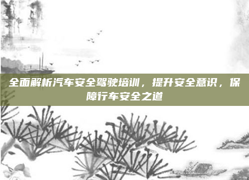全面解析汽车安全驾驶培训，提升安全意识，保障行车安全之道