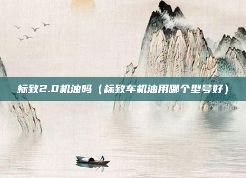 标致2.0机油吗（标致车机油用哪个型号好）